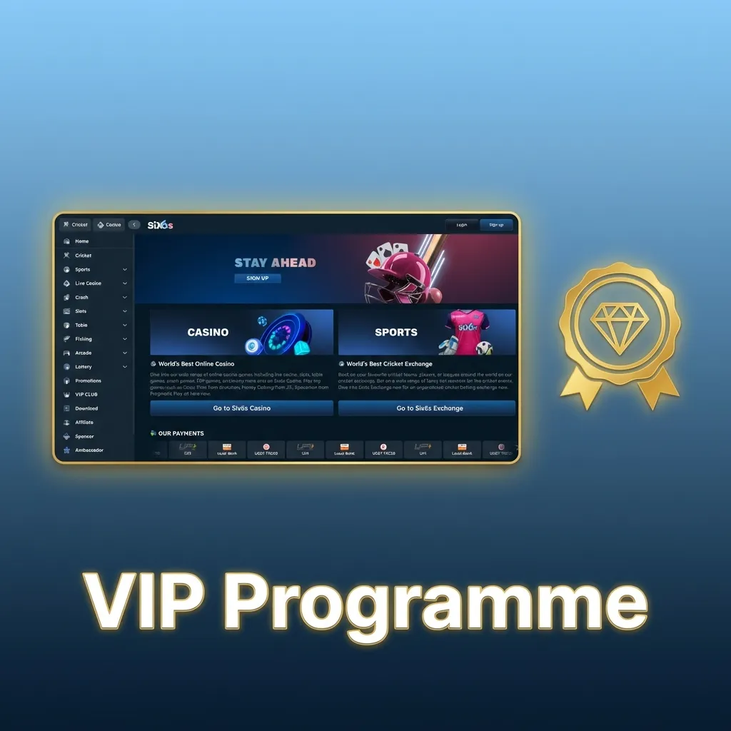 Tiered VIP loyalty program showing Bronze to Platinum levels with rewards like cashback, bonuses, and priority support